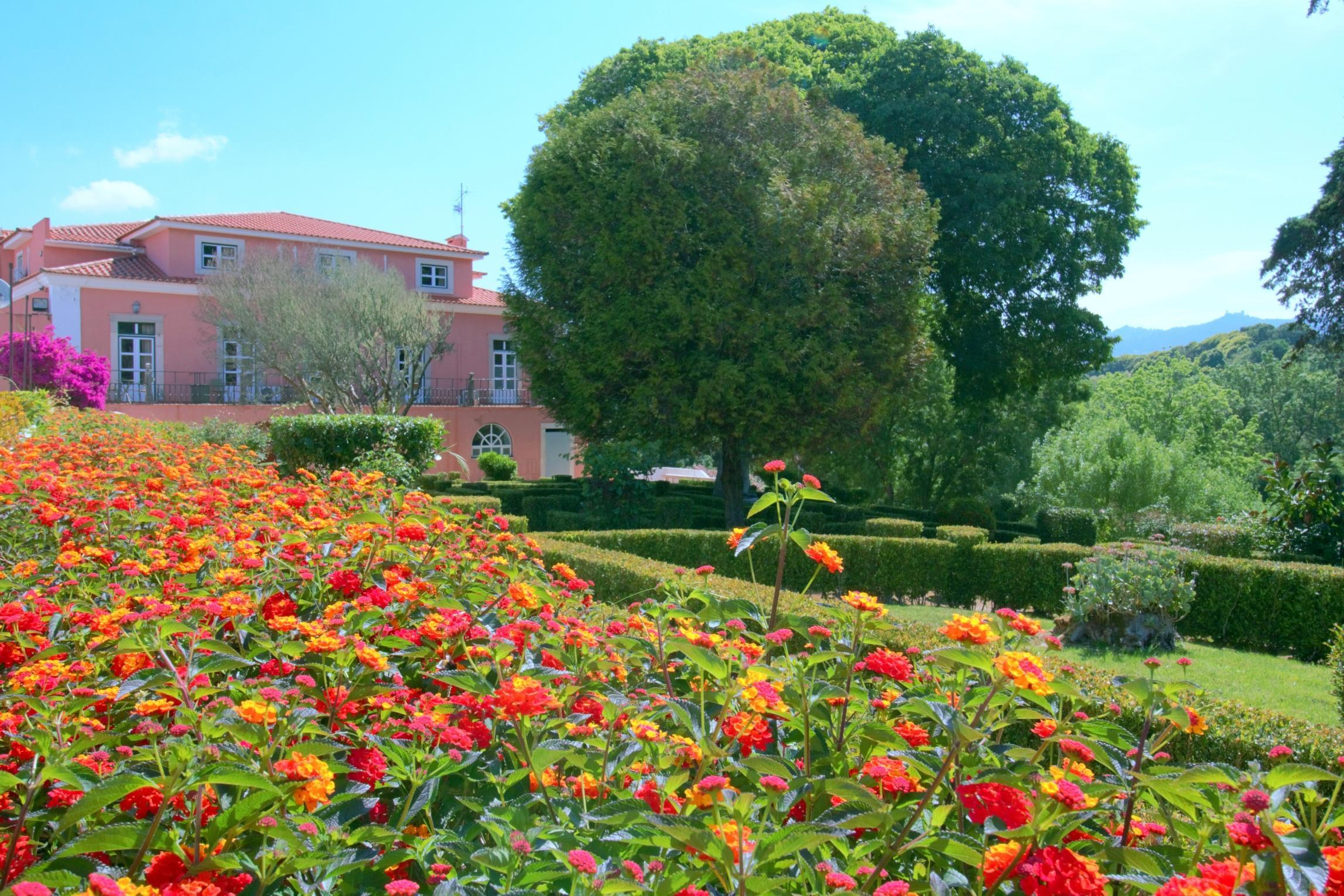 Wot Sintra Sarrazola Hotel Colares Kültér fotó